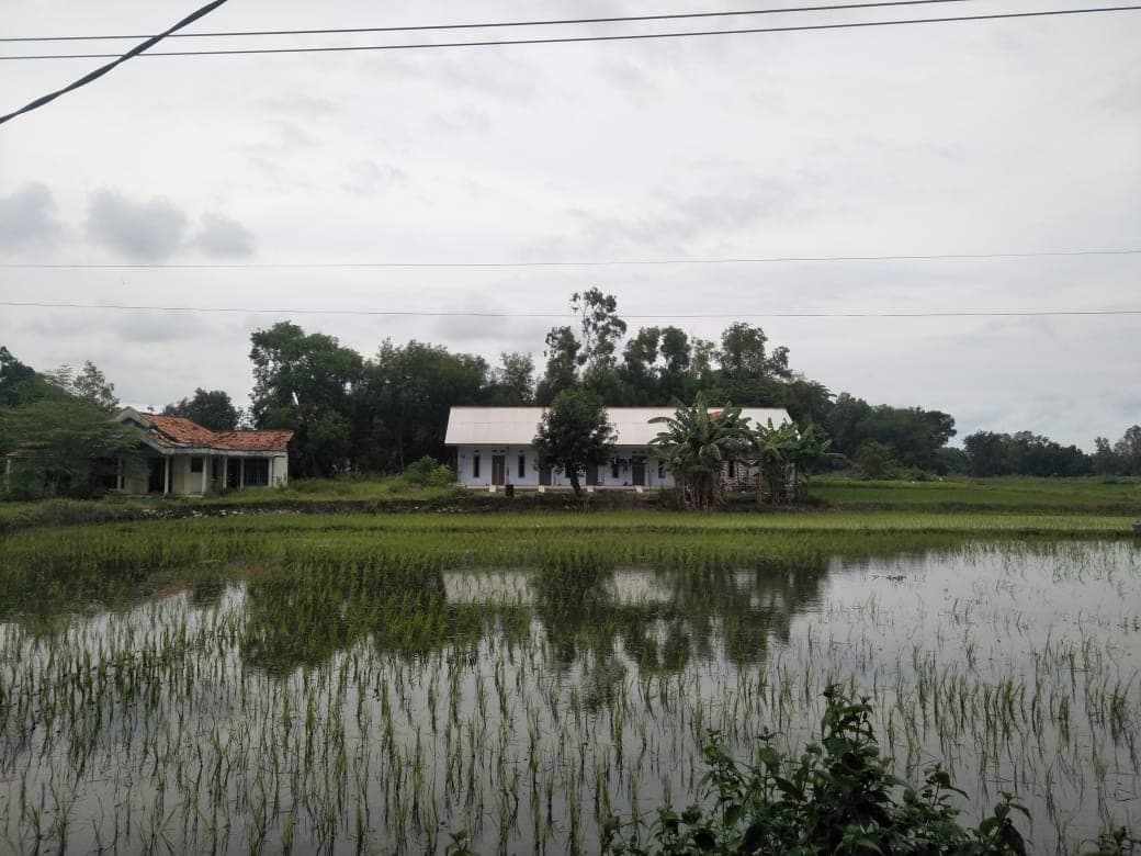 Memeriksa dan Melacak Praktik Kerja Dramaturgi